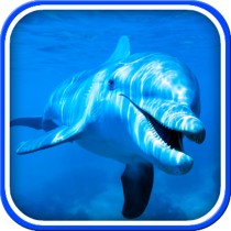 برنامه اندروید Dolphin Live Wallpaper - چارخونه